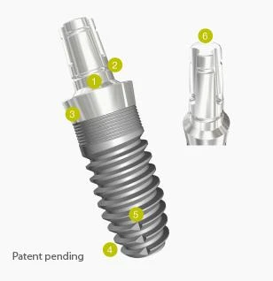 One Piece Implant