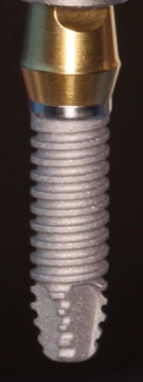 External (3.7)