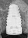 Tapered Internal (5.7)