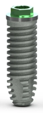 External (4.2)