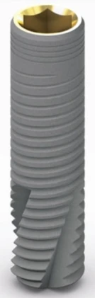 CDI Cylindrical Implant (3.5)