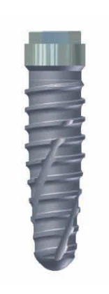 TOP (3.4)