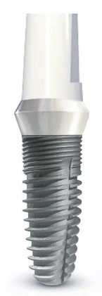 Smilea Conic (3.9)