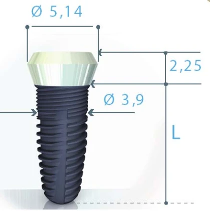 Smilea Conic (3.9)