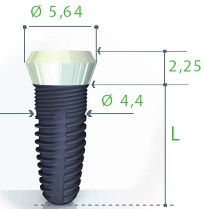 Smilea Conic (4.4)
