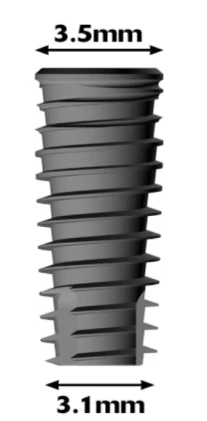 Conus 12 (3.5)