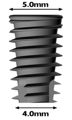 Conus 12 (5.0)