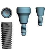 Conus 12 (3.5)