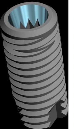 Conus 12 (3.5)