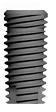 Conus 12 (4.0)