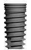 Conus 12 (4.5)