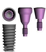 Conus 12 (4.5)
