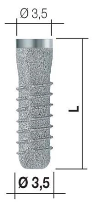 Bone System 2 (3.5)