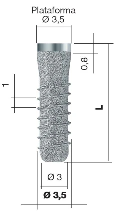 Bone System 2 (3.5)