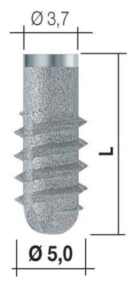 Bone System 2 (5.0)
