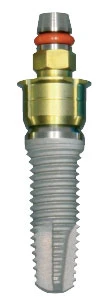 Interna Universal Plus Platform (4.1)