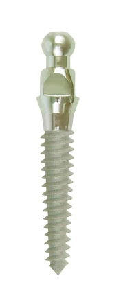 Mini Implant