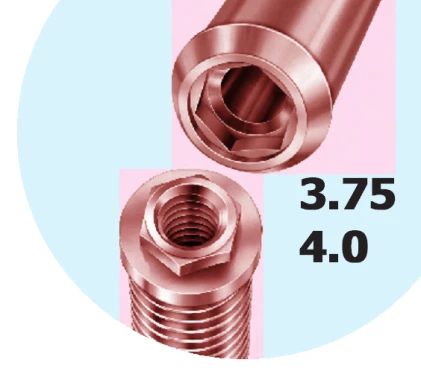 Master Screw/Porous RD (4.1)