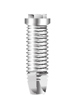 Master Screw/Porous RD (4.1)