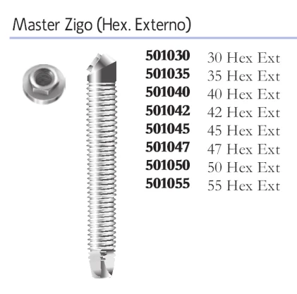 Master Zigo