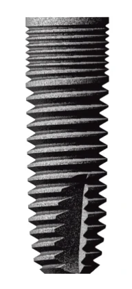Dental (3.5)