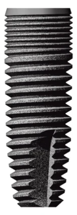 Dental (3.5)