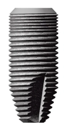 Dental (3.5)