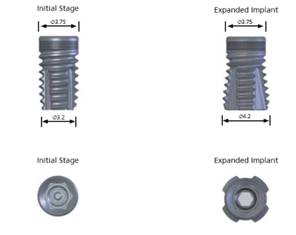 Quad Internal Hex