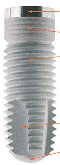 Straight (3.3)