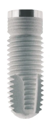 Straight (3.3)
