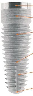 Tapered (3.3)