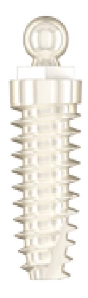 Denti Circonium (DC)