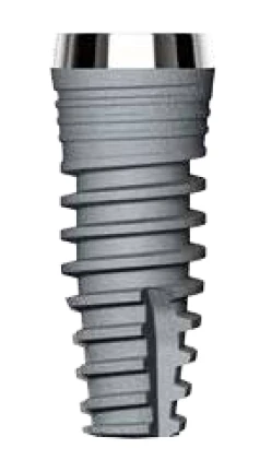 Denti Root (DR) 3.8