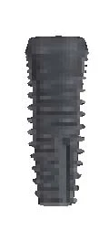 Denti Root (DR) 4.8