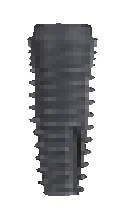 Denti Root (DR) 5.3