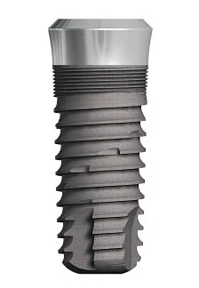 Internal