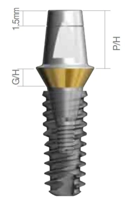 SQ-SL Regular