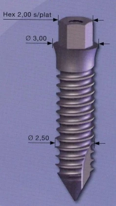 Mini Implant