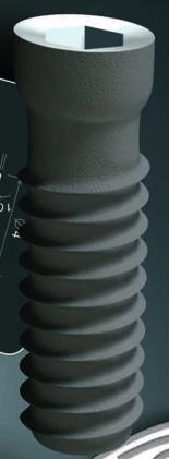 ONB (4.0)