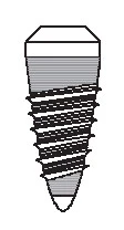 ILI Parabolic (4.8)
