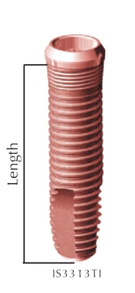 Internal Connection SQ (3.3)