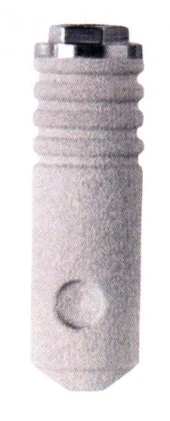Sustain Cylinder External Hex SD (3.3)