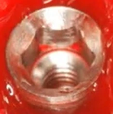 Paltop Active Implant PAI np