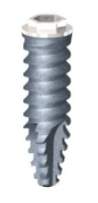 External Hexagonal Medular (4.1)