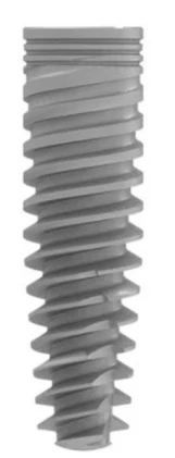 C1 (NP)