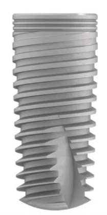 C1 (WP)