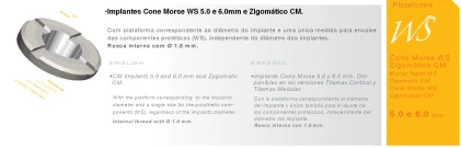 Zigomatic CM