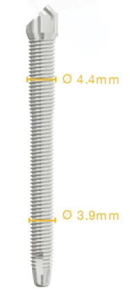 Zigomatic CM