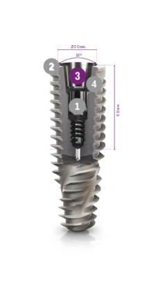 Helix Grand Morse (GM)