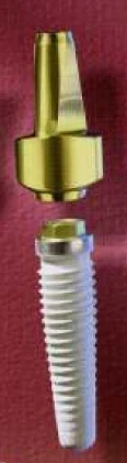 Nobel Replace External Hex (4.3) (Steri-Oss)